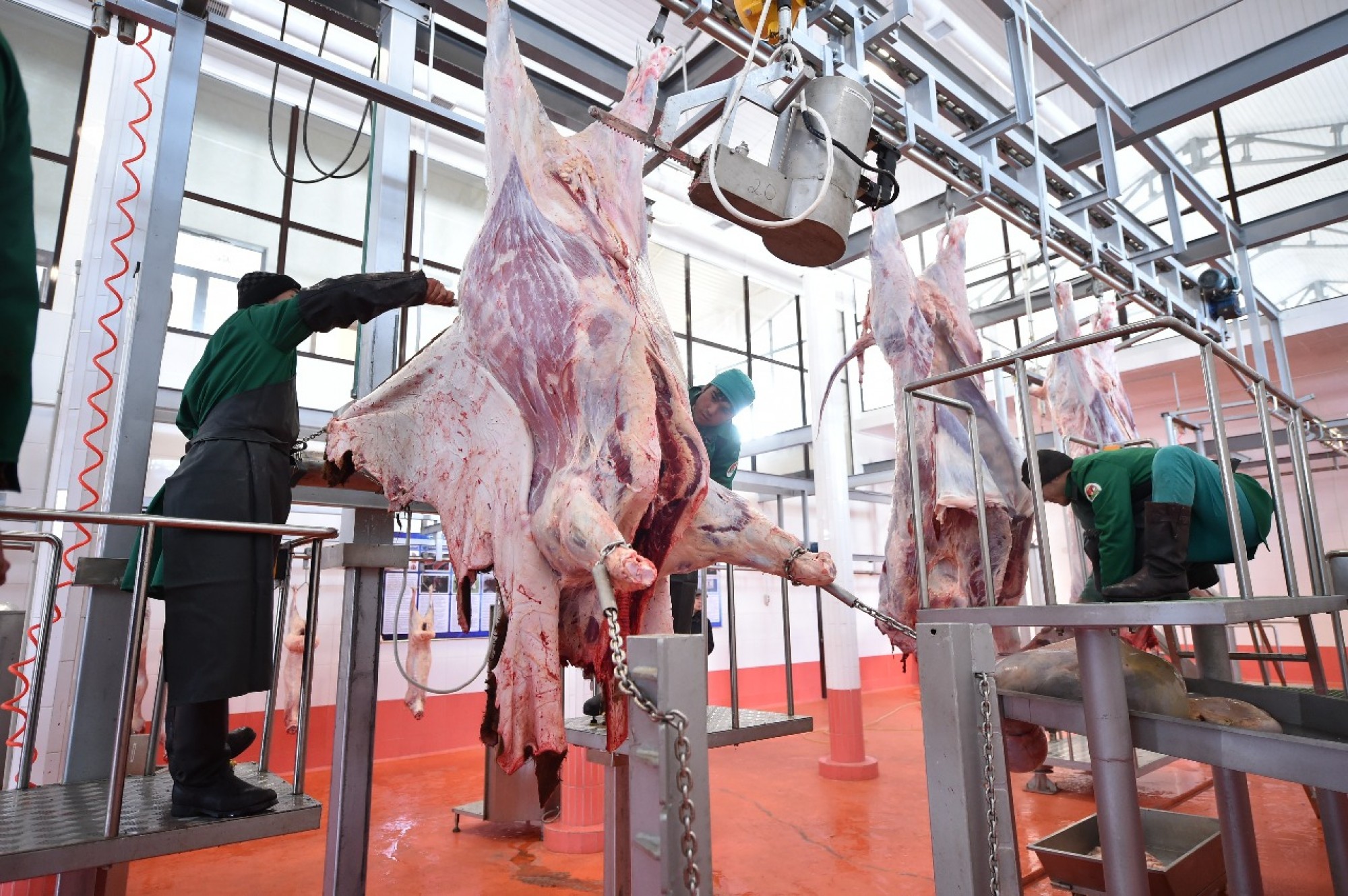 На юге Казахстана за девять месяцев произведено 153 тысячи тонн мяса