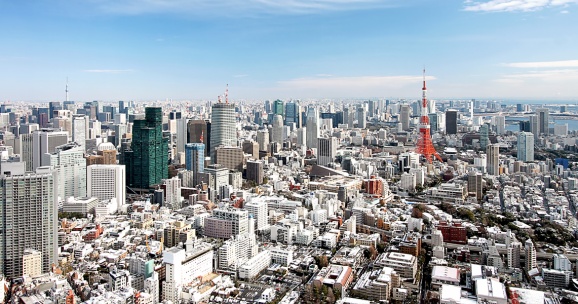Импульс инвестиционному взаимодействию с Японией придаст бизнес-форум