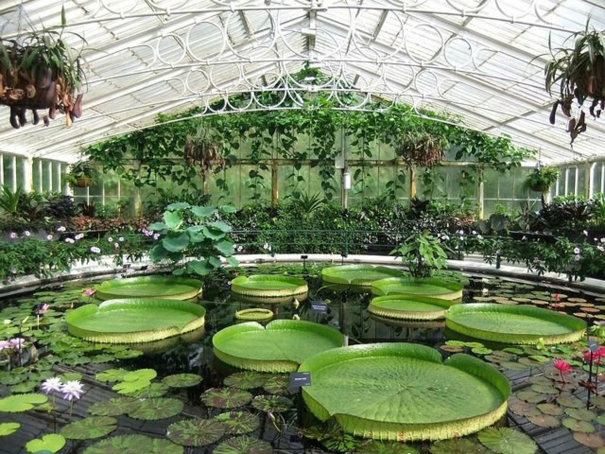 Асет Исекешев: Летом в столице откроется Ботанический сад 