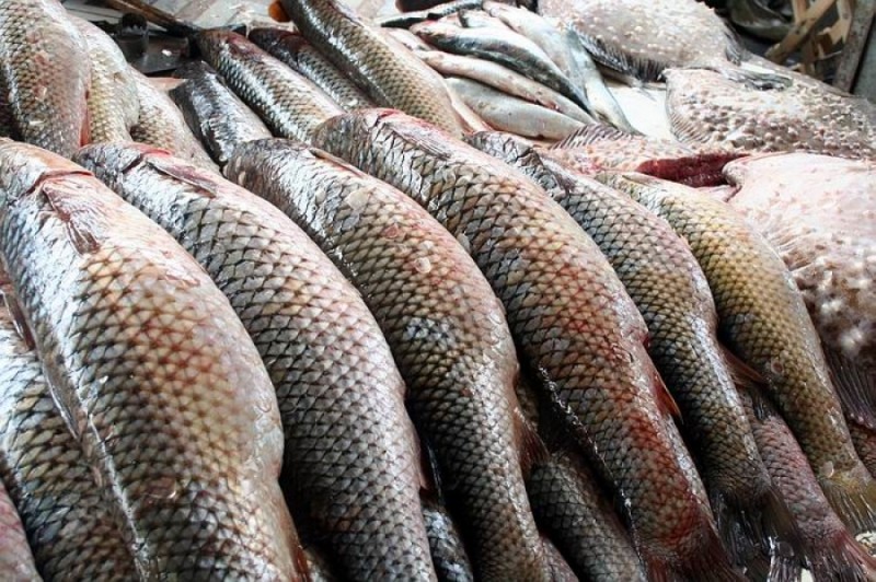 В Атырау обсудили проблемы и перспективы рыбной отрасли