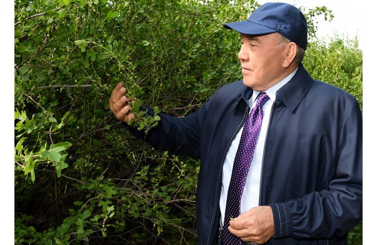 Нурсултан Назарбаев посетил объекты «зеленого пояса» Астаны