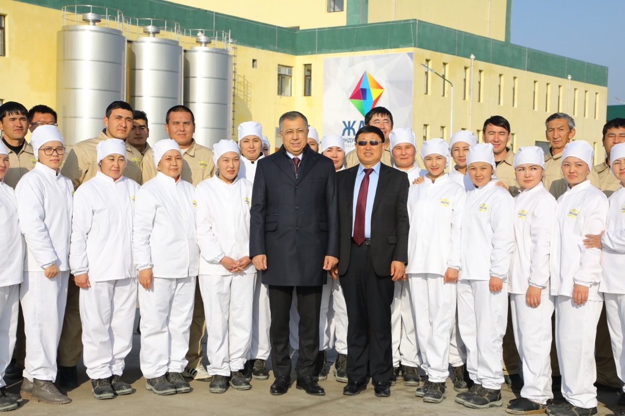 Глава государства запустил завод по переработке верблюжьего молока в Туркестане