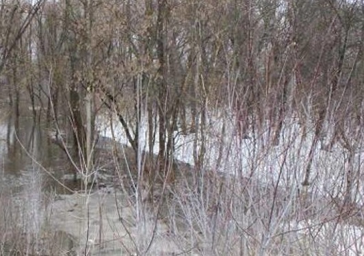 В Актюбинской области уменьшается количество сел в зоне паводкового риска