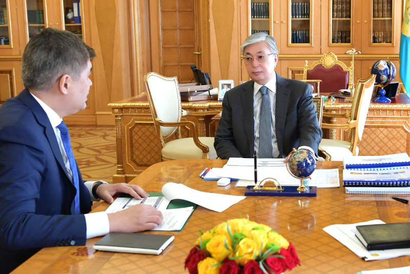 Президент Казахстана принял министра здравоохранения Елжана Биртанова