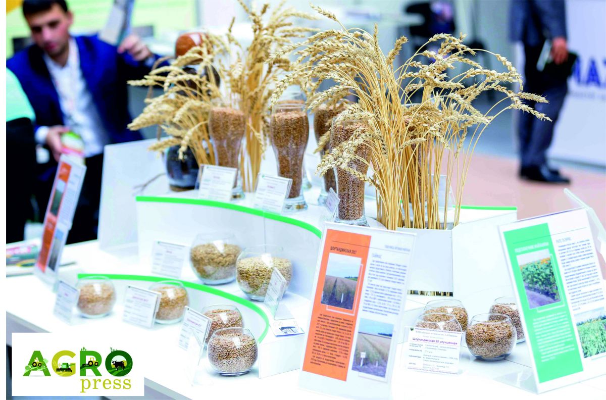 В Нур-Султане проходят международные агропромышленные выставки