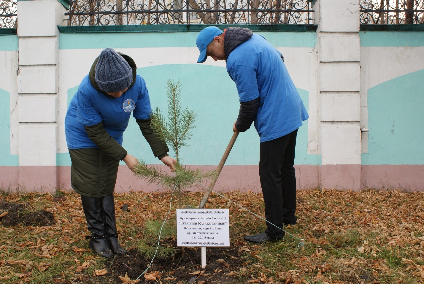 В Петропавловске посадили ель в честь 100-летия «Егемен Қазақстан»