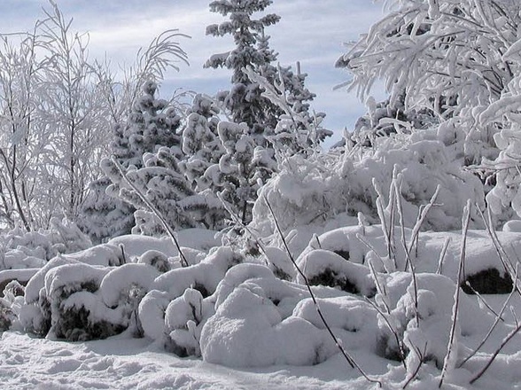 Дальнейшее похолодание ожидается по всему Казахстану