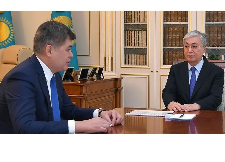 Президент принял министра здравоохранения Елжана Биртанова