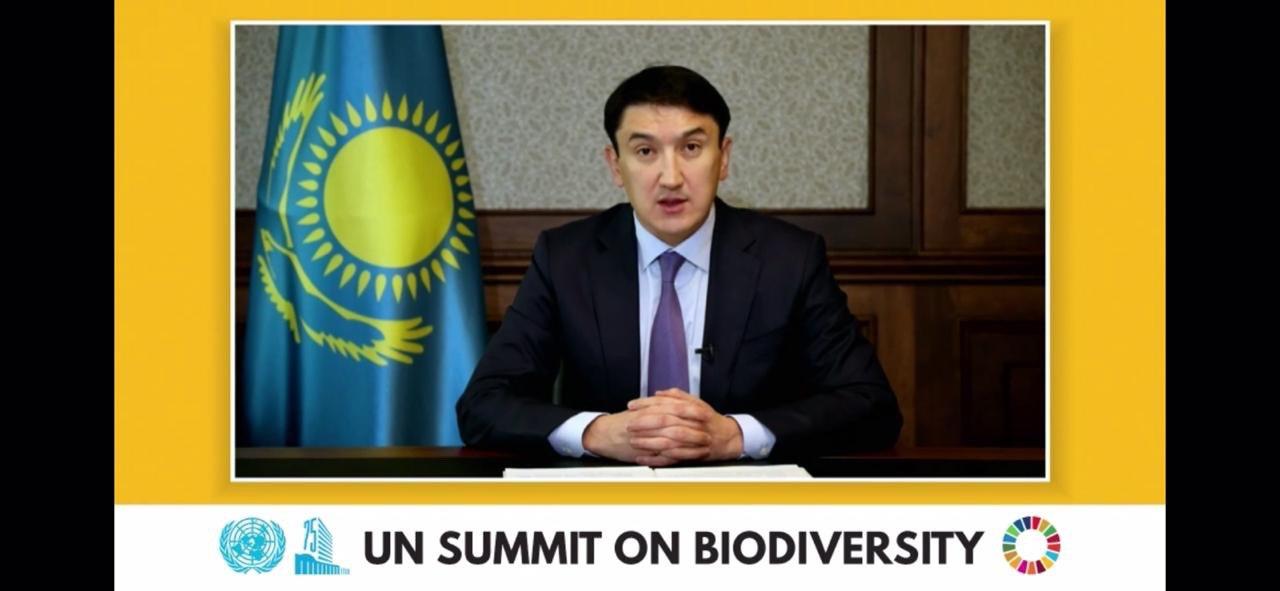 Министр экологии выступил с видео-обращением на саммите ООН по биоразнообразию