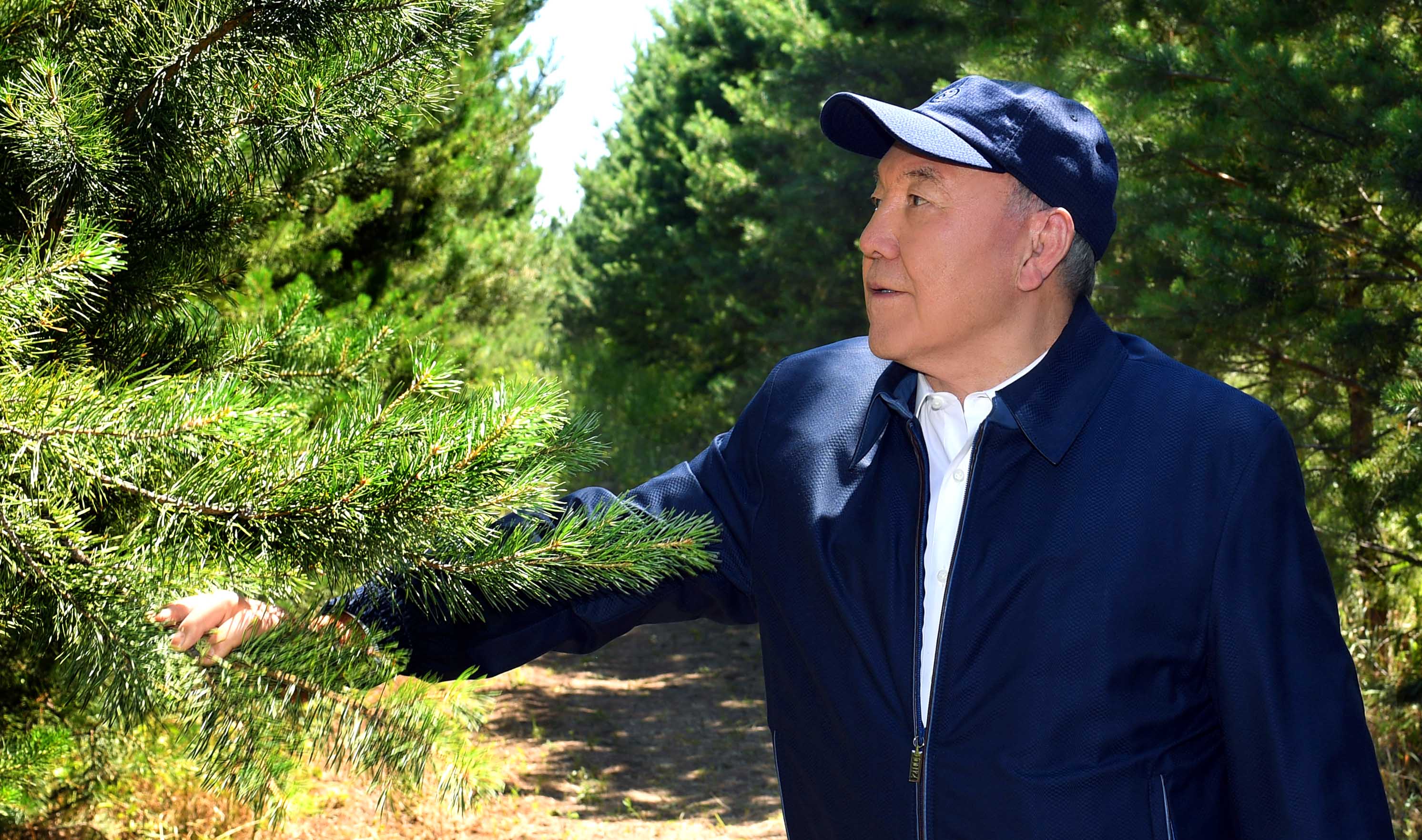 Нурсултан Назарбаев: Лесные пространства вокруг Астаны стали природным оазисом
