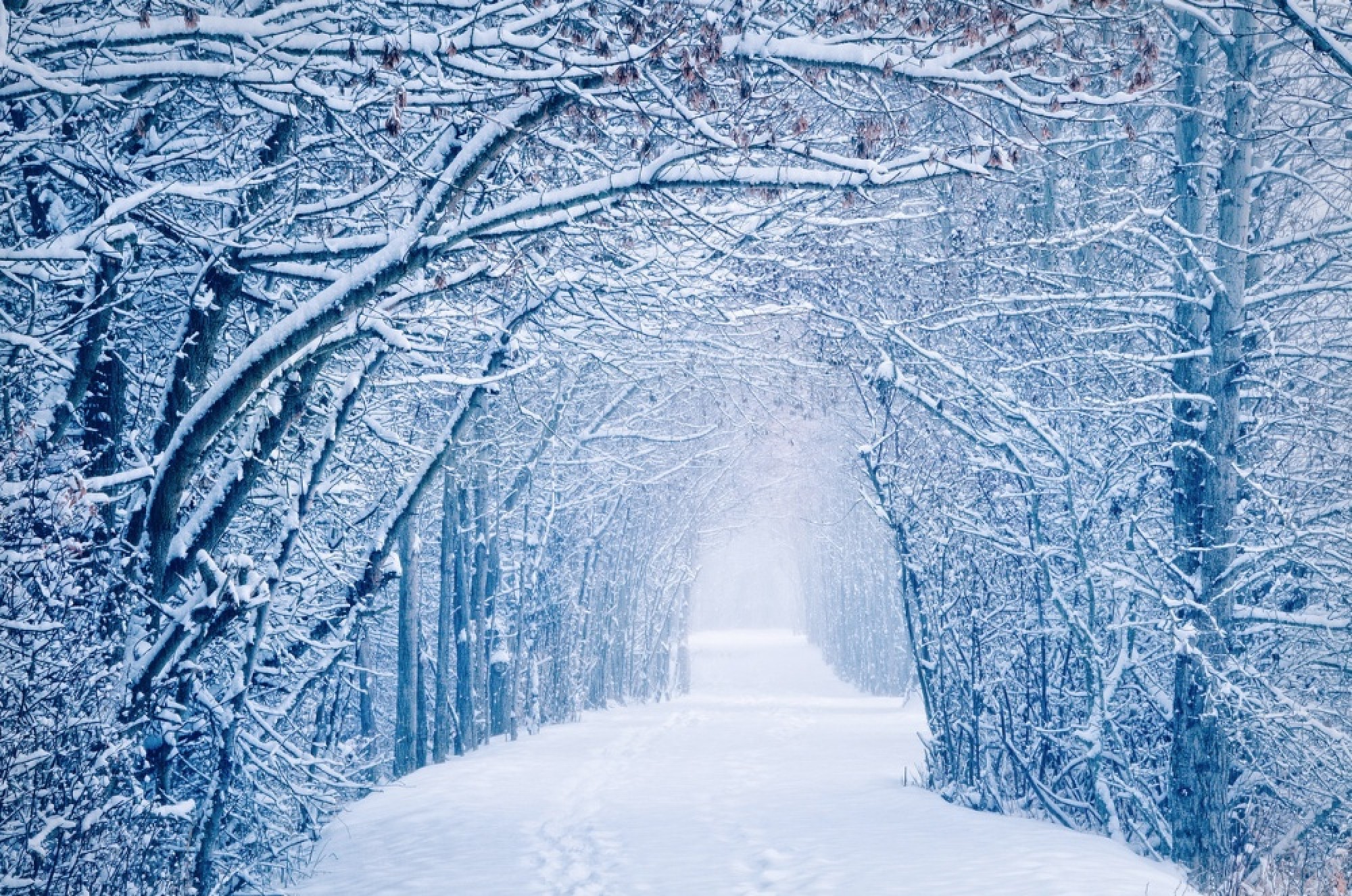 Красивая картинка со снегом. Красивая зима. Красивая Снежная зима. Красивый снег. Красивый снегопад.