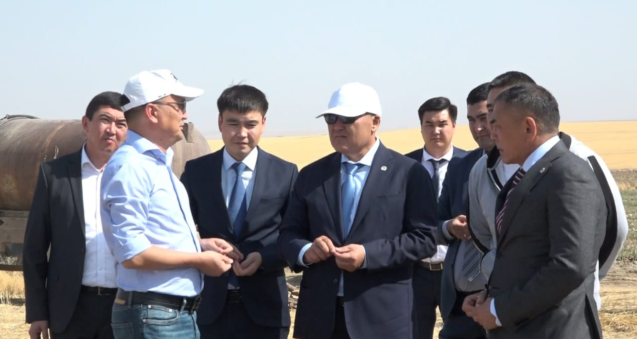 В Туркестанской области планируют экспортировать семена арбузов и построить нефтехимзавод