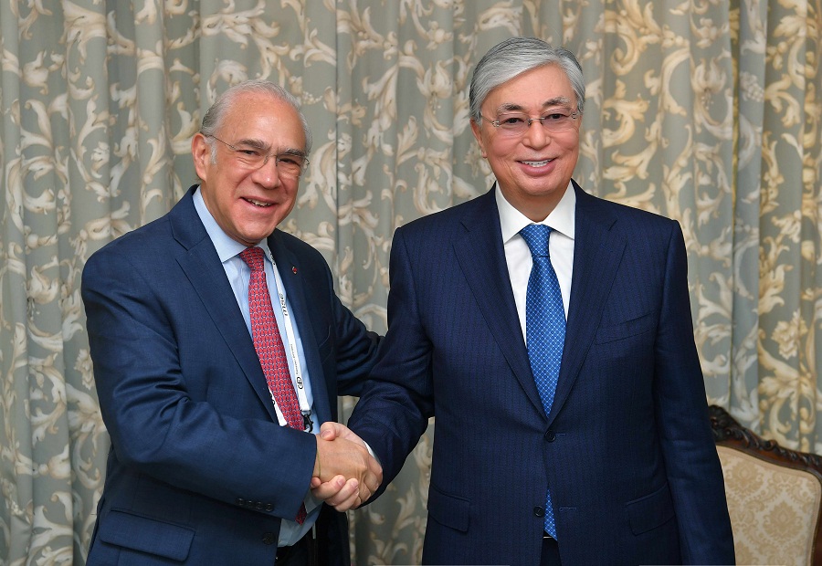 Президент Казахстана встретился с Генеральным секретарем ОЭСР