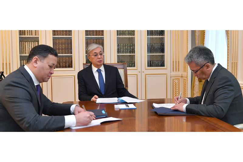 Глава государства принял Специального представителя Президента Казахстана по Афганистану
