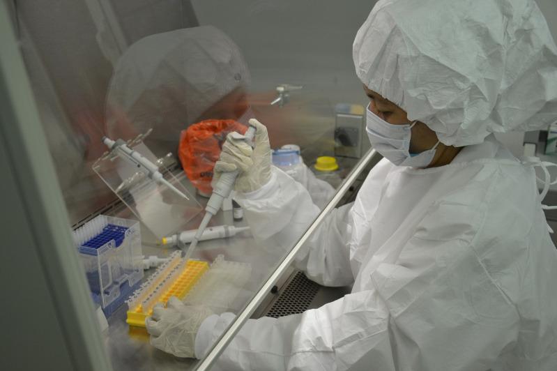 Разработка ведётся круглосуточно - о вакцине против коронавируса рассказали казахстанские ученые