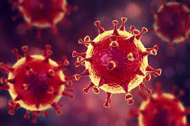 2047 заболевших: Зарегистрировано 22 новых случая заражения коронавирусом