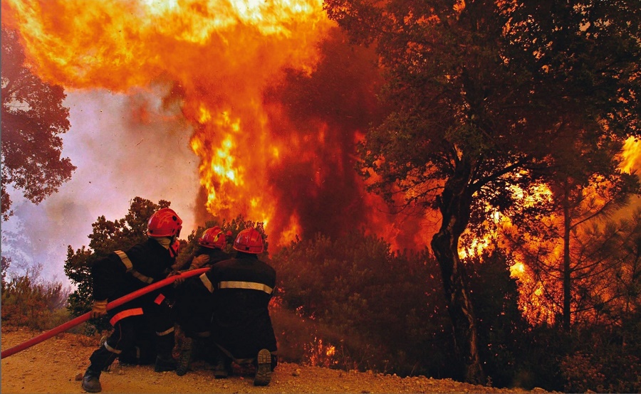 За сутки в республике произошло 32 лесных и степных пожара