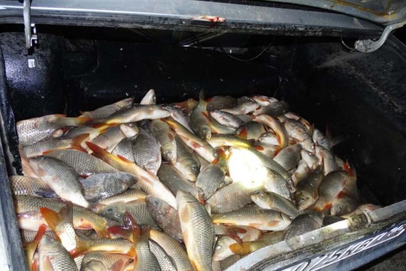 Более 130 кг рыбы изъяли у браконьеров туркестанские полицейские