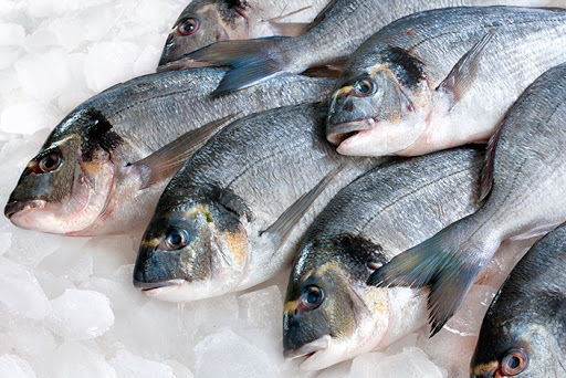 Полтонны рыбы изъяли у браконьеров в Капшагае