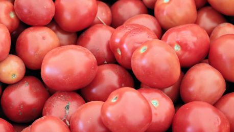Опасный вирус томатов и перца выявили в теплицах Туркестанской области
