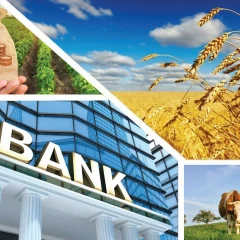Агробанк туралы идея банктерден қолдау таппады