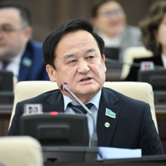 Торғай өңірінің мәселелері - Мәжіліс назарында