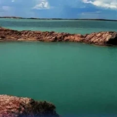Балқаш көлінде шомылған әйел жағалауға жете алмай қалды