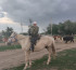 Әйел атқа қонса...