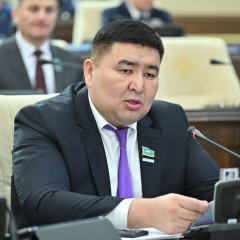 Тұрақты даму бар салада байқалады - депутат