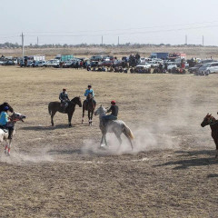 Белбасарда көкпар алаңы ашылды