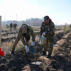 Орман тұқымбағы ашылды