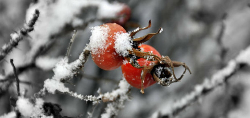 Алматыда қар молынан жауып, тұрғындар әбігерге түсті (фото, видео)