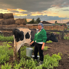 Мал ұстағанның табысы неге мардымсыз?