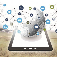 Сапалы интернет игілігі