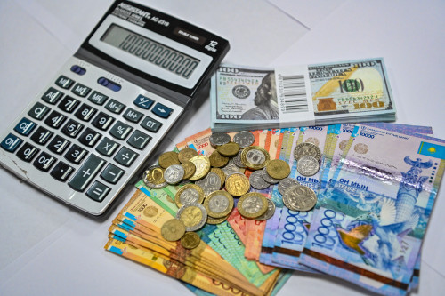 Президент: «Ауыл аманаты» жобасына 2029 жылға дейін 600 миллиард теңгеге жуық қаржы бөлінеді