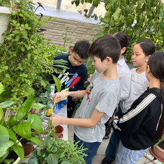 Табиғат сүйгіш балалар