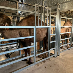 Маңғыстауда ауыл шаруашылығын дамытатын жобалар жүзеге асырылды