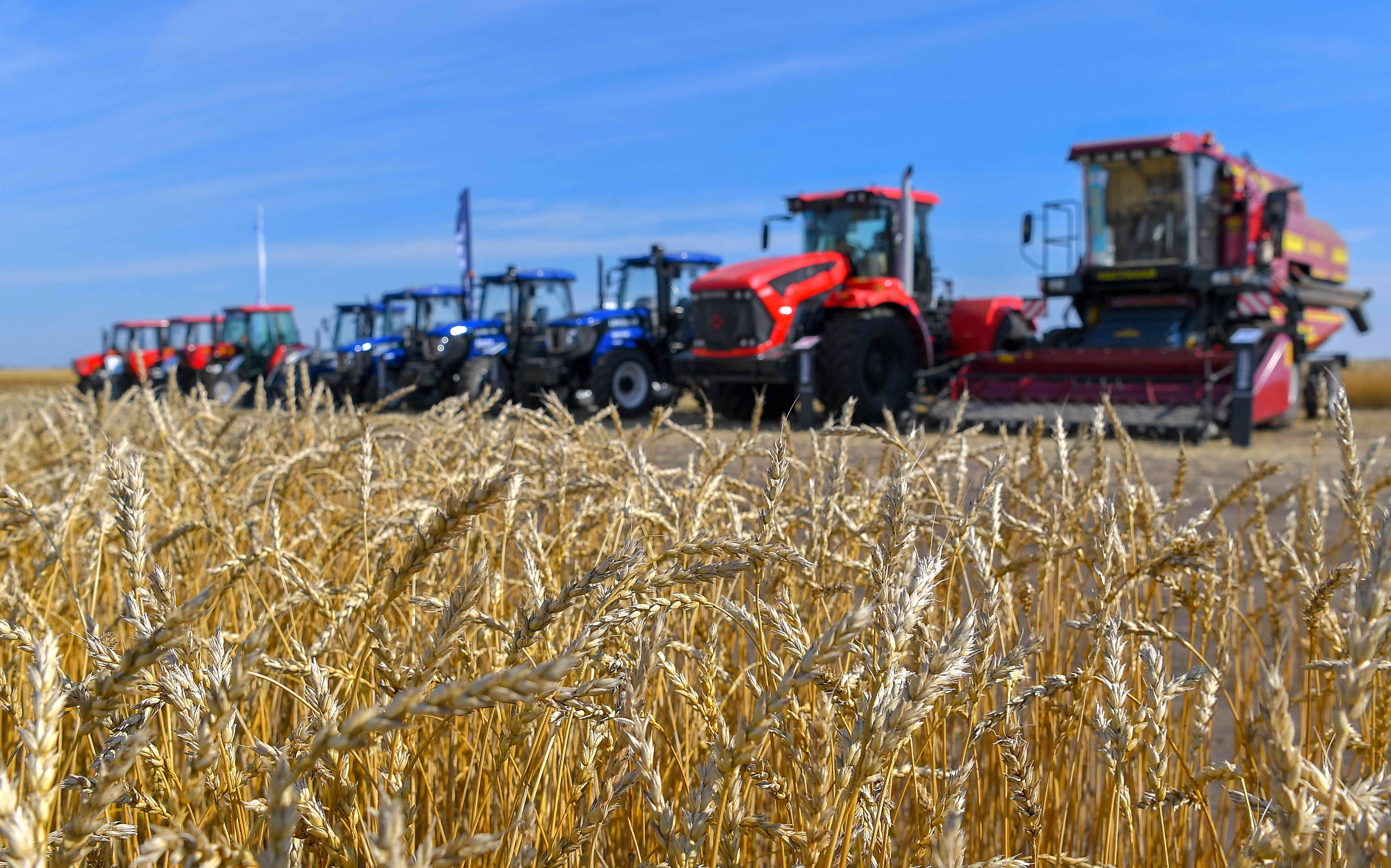 Шаруаларды сарсаңға түсірген лизинг