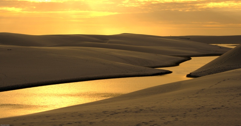 Африкадан Аралға дейін: Құм жұтқан көлдерді қайтсек құтқарамыз?