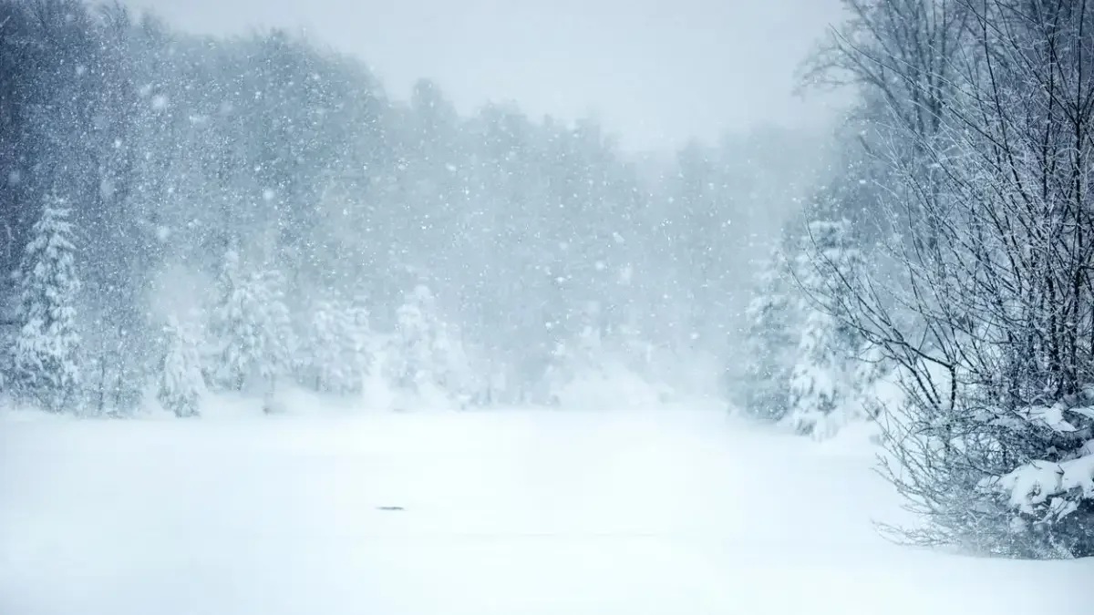 Қарлы боран, көктайғақ, қатты жел: 11 ақпанға арналған ауа райы болжамы