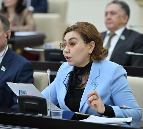 Цирфлық сервис: Депутат «тәуелсіз қызметкер» мәртебесін бекітуді ұсынды